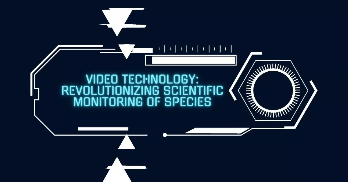 Video Technology: Revolutionizing Scientific Monitoring of Species